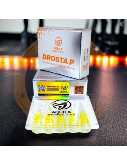 AQUILA - DROSTA P