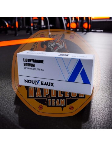 NOUVEAUX - T3 LIOTHYRONINE