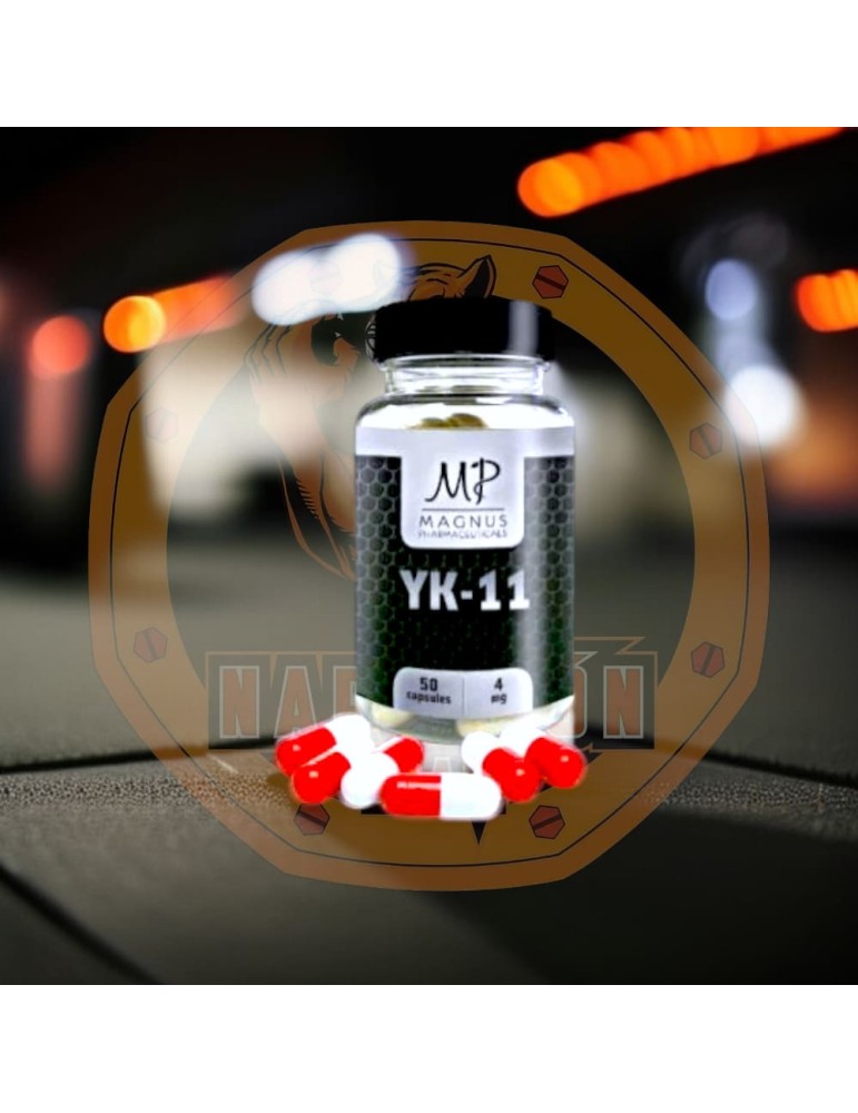 MAGNUS - YK11